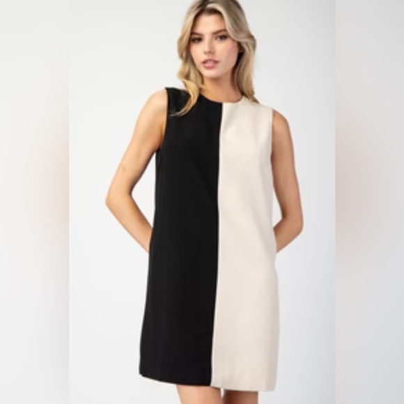 Elegant Black and Cream Sleeveless Dress - Picture 2 of 4